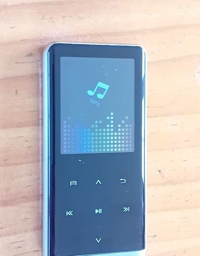 Portable mp3 player media - portable,